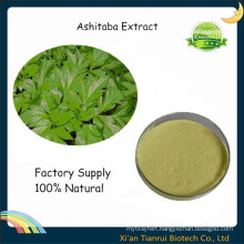 Angelica Keiskei Leaf Extract Powder Ashitaba Extract